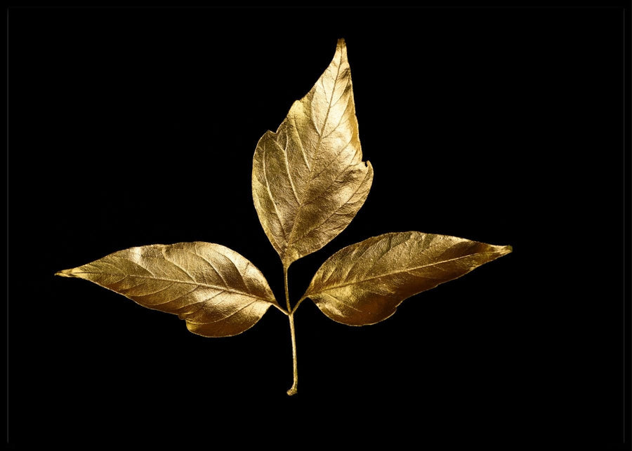 Gold leaf Poster