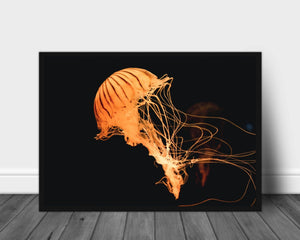 Gull manet Poster - Plakatbar.no