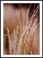 Halmstrå - Plakat - Plakatbar.no