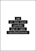 Håndballtrener - Jeg er ikke bare perfekt Plakat - Plakatbar.no