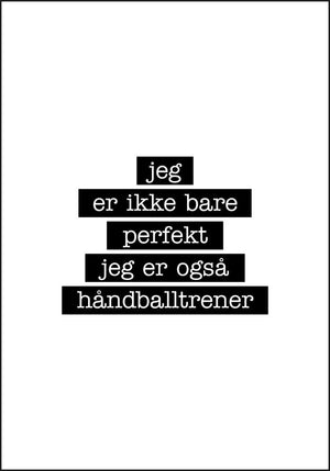 Håndballtrener - Jeg er ikke bare perfekt Plakat - Plakatbar.no
