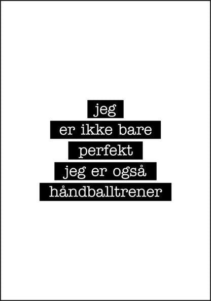 Håndballtrener - Jeg er ikke bare perfekt Plakat - Plakatbar.no