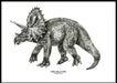 Håndtegnet dinosaur til barnerom - Triceratops 02 - Design av Hugøy - Plakatbar.no
