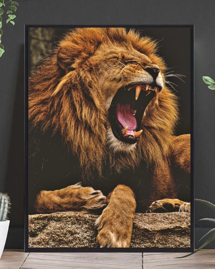 Hannløve som viser tenner poster - Plakatbar.no