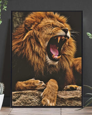 Hannløve som viser tenner poster - Plakatbar.no