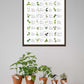 Herbs Guide - Poster - Plakatbar.no
