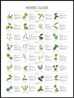 Herbs Guide - Poster - Plakatbar.no