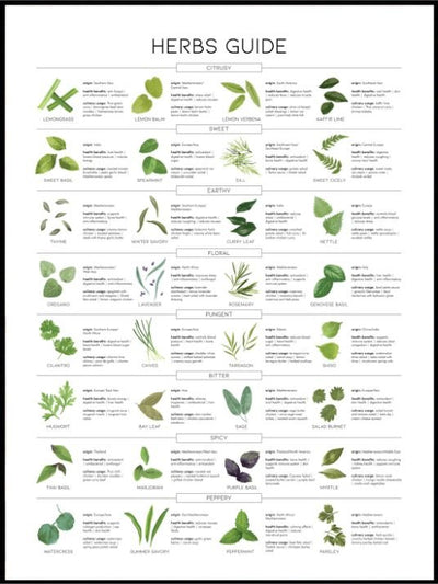 Herbs Guide - Poster - Plakatbar.no