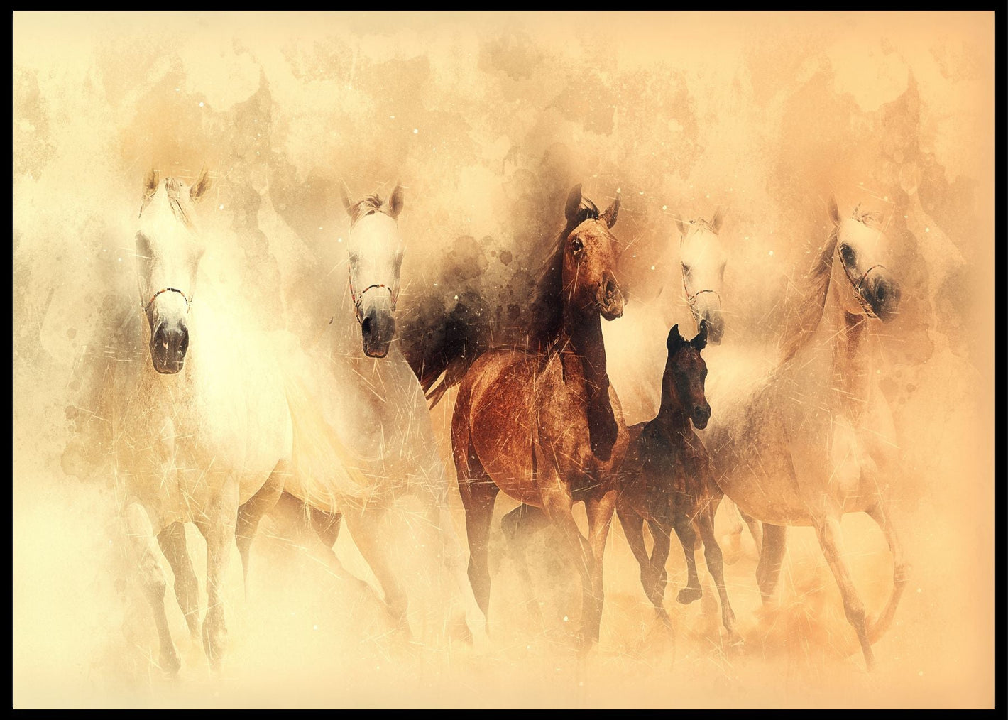 Hester i galopp poster - Plakatbar.no