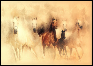 Hester i galopp poster - Plakatbar.no