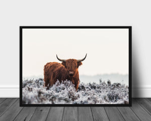 Highlander poster - Plakatbar.no