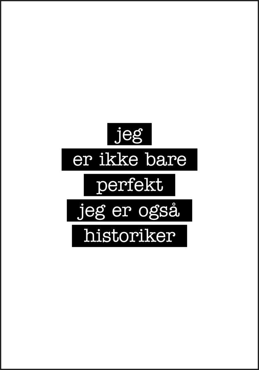 Historiker - Jeg er ikke bare perfekt Plakat - Plakatbar.no