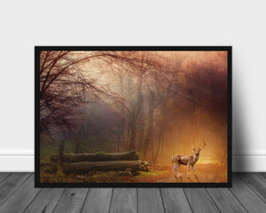 Hjort i skogen poster - Plakatbar.no