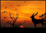 Hjort i solnedgang poster - Plakatbar.no