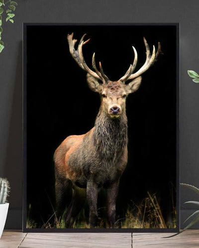 Hjort med sort bakgrunn poster - Plakatbar.no