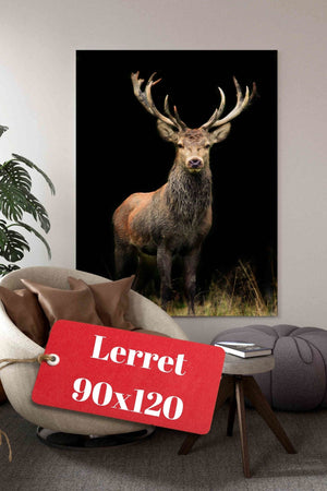 Hjort med sort bakgrunn poster - Plakatbar.no