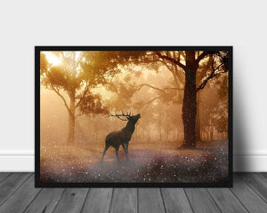 Hjort som brøler poster - Plakatbar.no