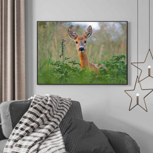 Hjorte simle - Poster - Plakatbar.no