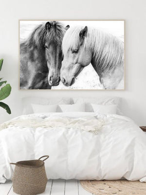 Horse Love - Plakatbar.no