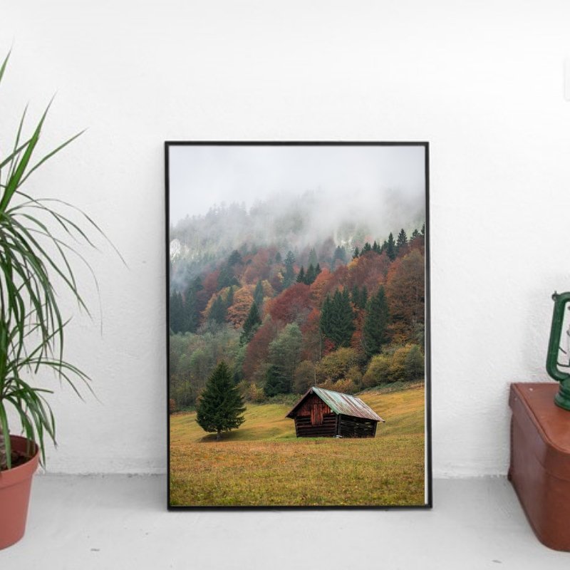 Høst i skogen - Poster - Plakatbar.no