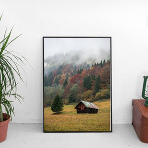 Høst i skogen - Poster - Plakatbar.no