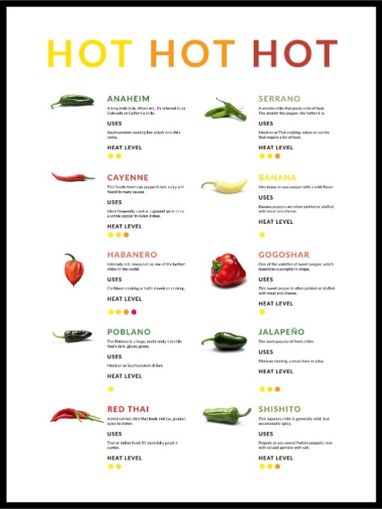 HOT - Pepperguide - Poster - Plakatbar.no