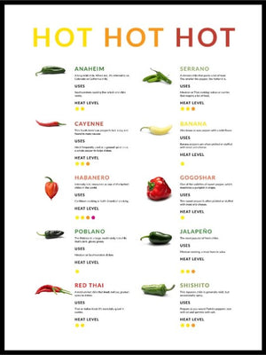 HOT - Pepperguide - Poster - Plakatbar.no