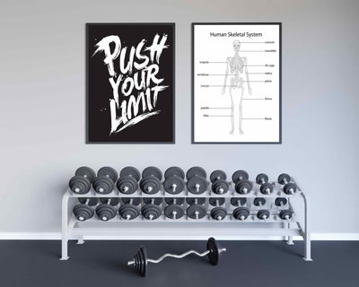 Human Skeleton Poster - Plakatbar.no