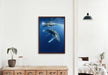 Humpback Whales - poster - Plakatbar.no
