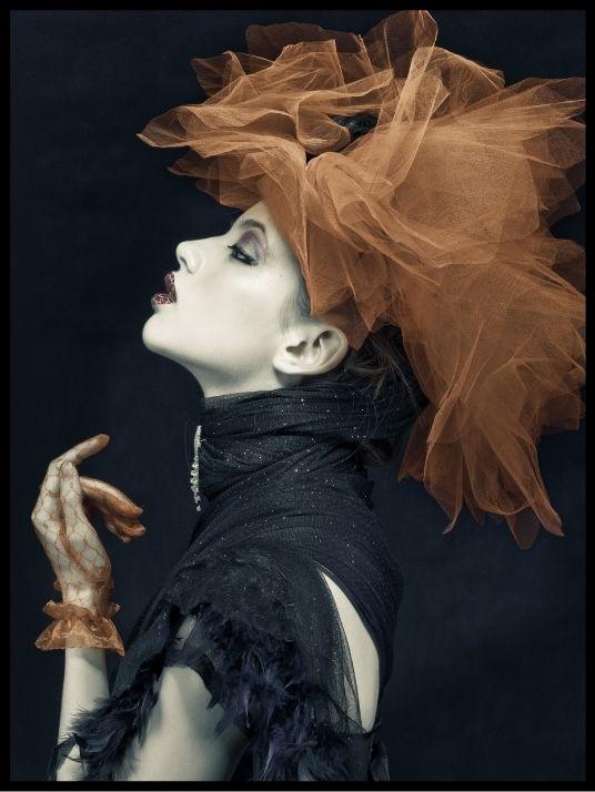 Imperious lady poster - Plakatbar.no