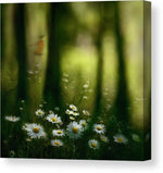 In the woods - Plakatbar.no