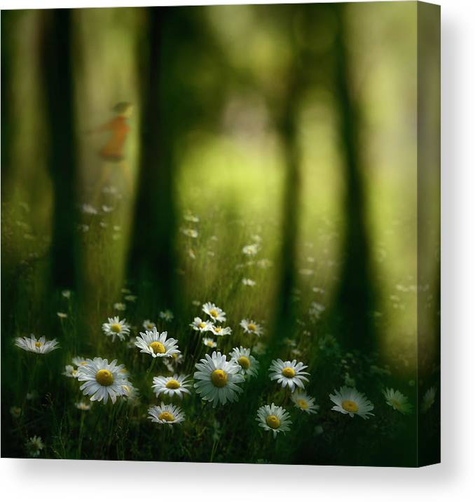 In the woods - Plakatbar.no