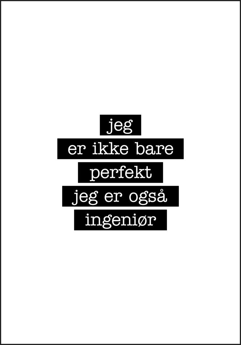 Ingeniør - Jeg er ikke bare perfekt Plakat - Plakatbar.no