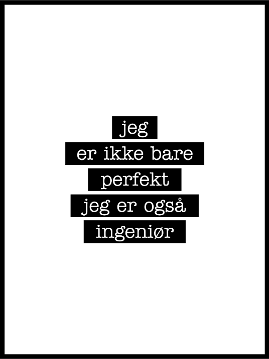 Ingeniør - Jeg er ikke bare perfekt Plakat - Plakatbar.no