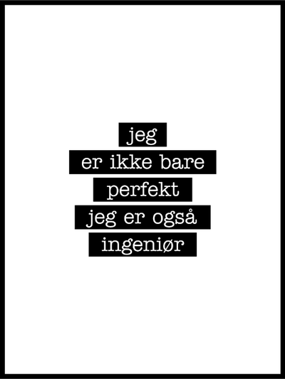 Ingeniør - Jeg er ikke bare perfekt Plakat - Plakatbar.no