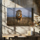 Lion Close Up