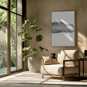 Whale Ii Tight Crop Handcolored Sealife Lithograph 1824