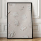 Shells_2