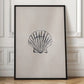 Seashell