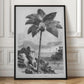 Vintage Palm Tree Drawing I