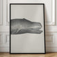 Whale Ii Tight Crop Handcolored Sealife Lithograph 1824