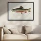Male Brook Trout