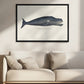 Whale I Antique Handcolored Sealife Lithograph 1824