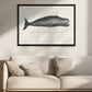 Whale Ii Antique Handcolored Sealife Lithograph 1824