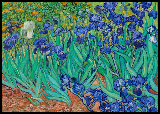 Iriser, Vincent Van Gogh - Plakat - Plakatbar.no
