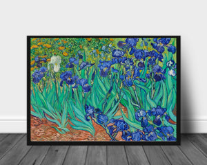 Iriser, Vincent Van Gogh - Plakat - Plakatbar.no