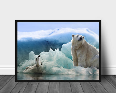 Isbjørn og pingvin poster - Plakatbar.no