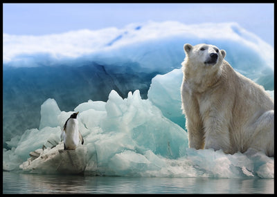 Isbjørn og pingvin poster - Plakatbar.no