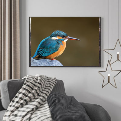 Isfugl poster - Plakatbar.no