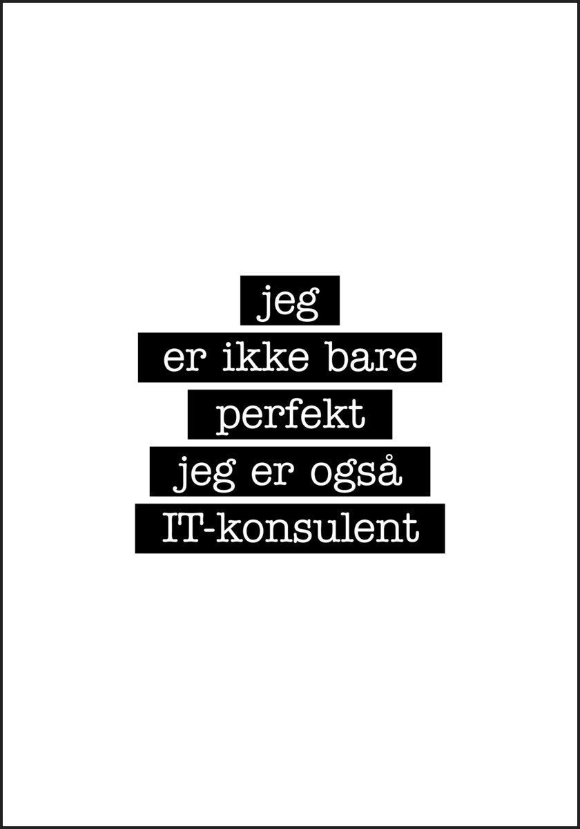 IT-konsulent – jeg er ikke bare perfekt Plakat